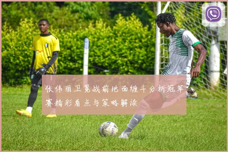 张伟丽卫冕战前地面缠斗分析冠军赛精彩看点与策略解读